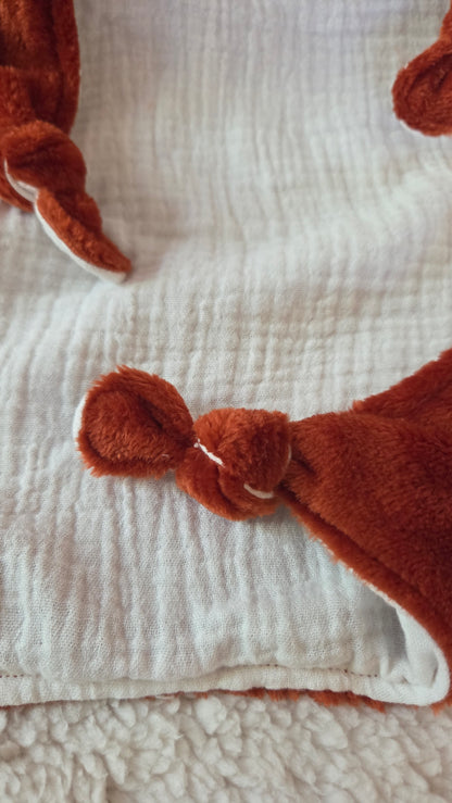 Doudou Renard